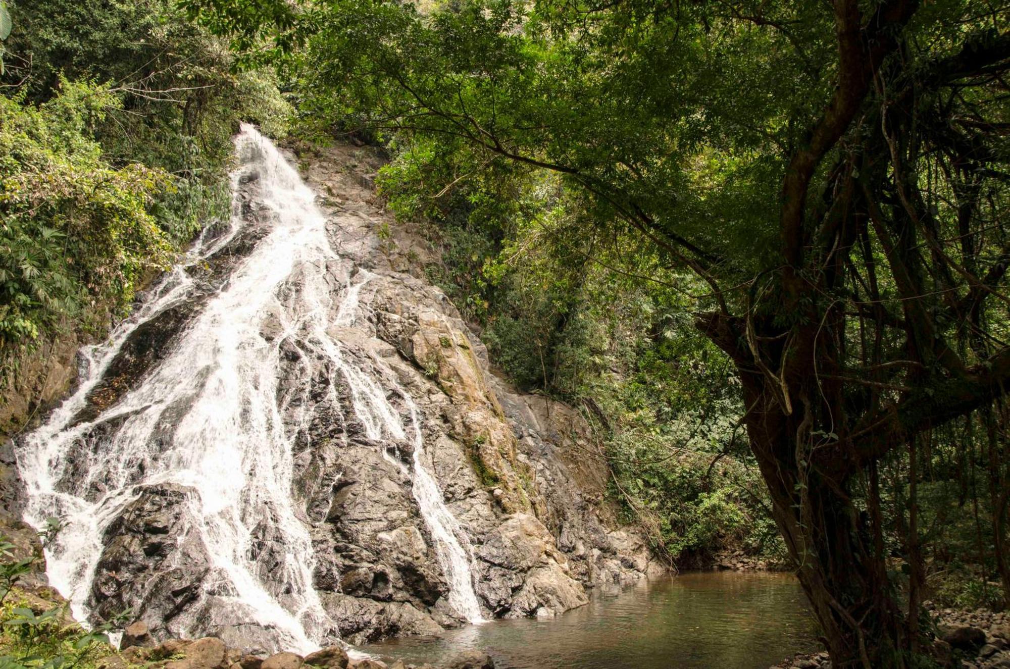 Jardin Botanico Del Pacifico Y Mecana Ecohotel バイーア・ソラノ エクステリア 写真