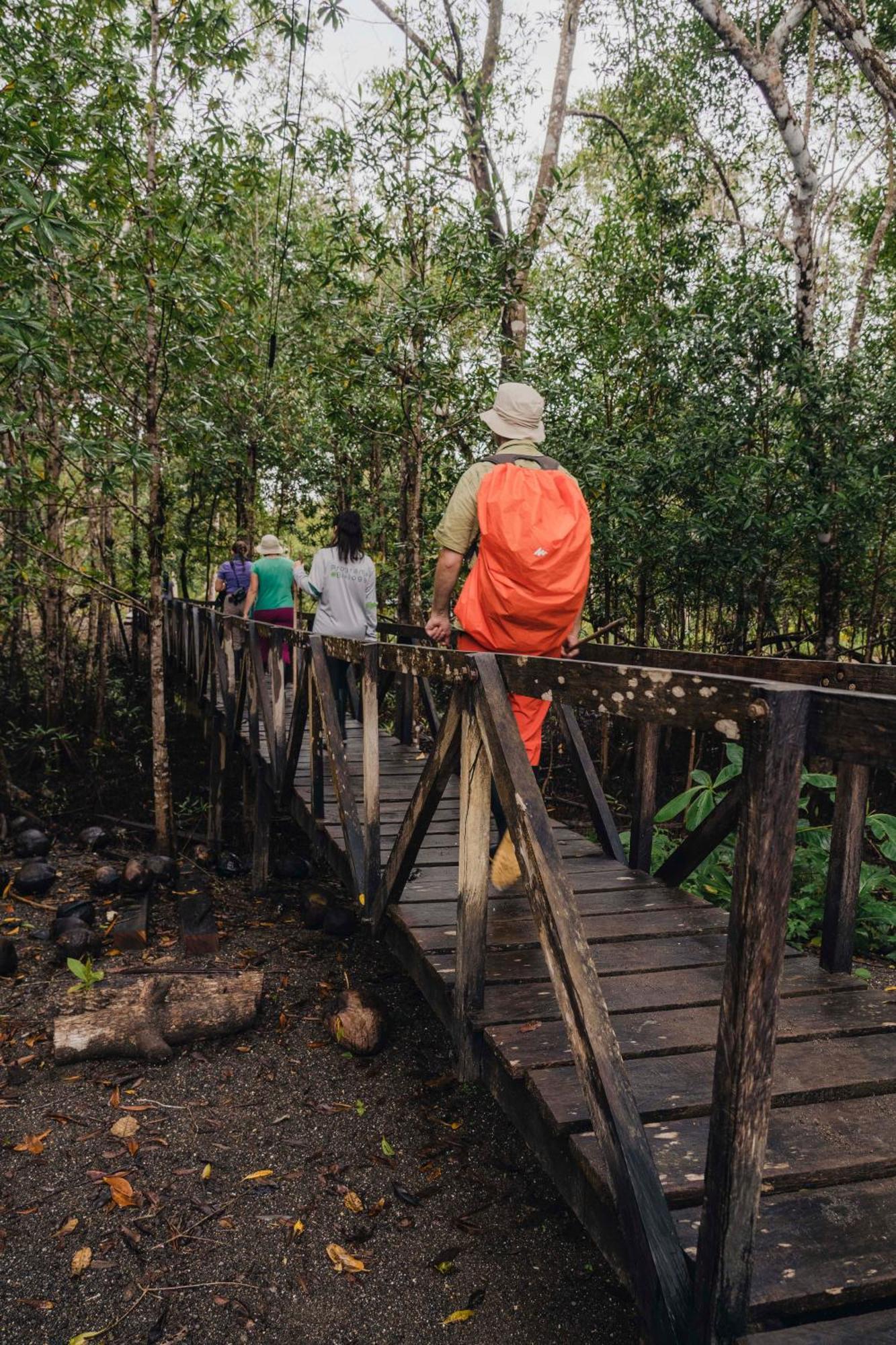 Jardin Botanico Del Pacifico Y Mecana Ecohotel バイーア・ソラノ エクステリア 写真