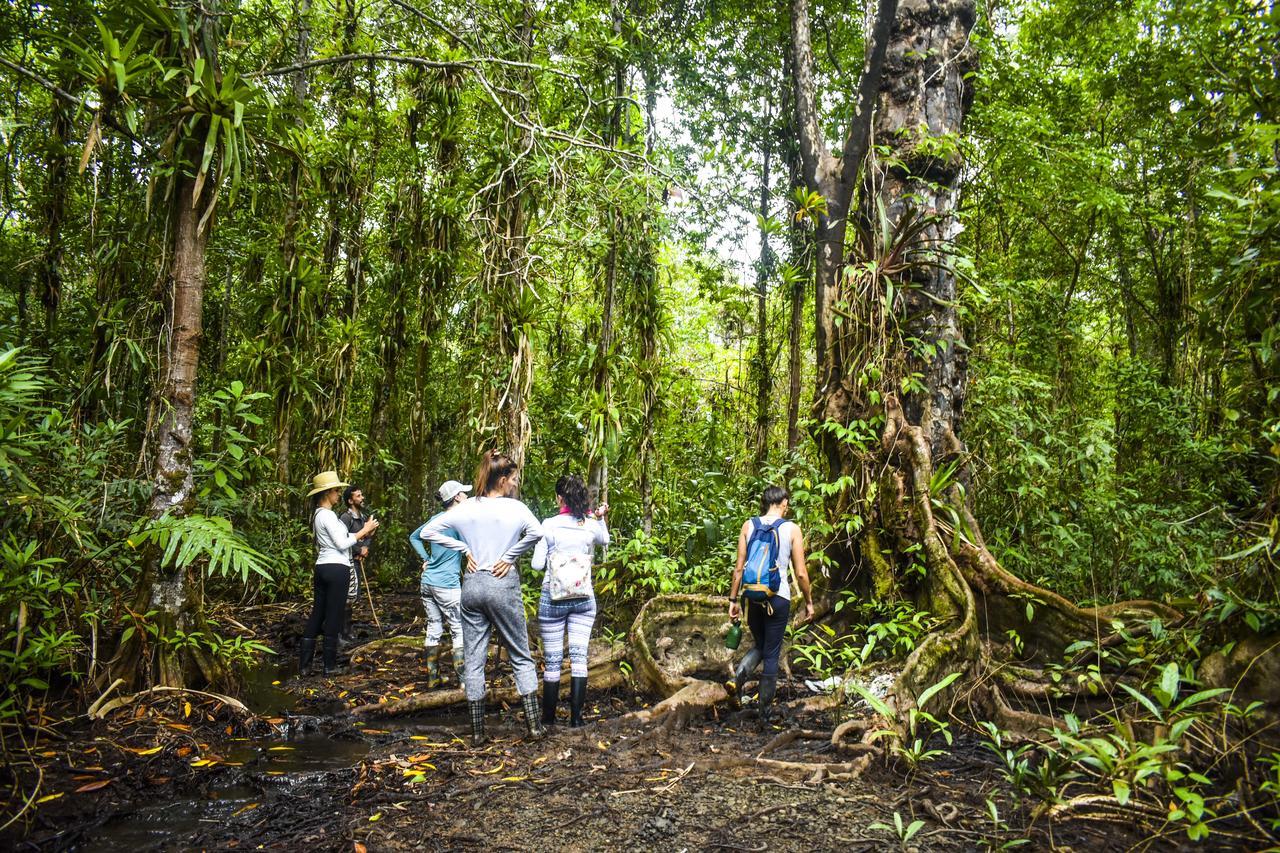 Jardin Botanico Del Pacifico Y Mecana Ecohotel バイーア・ソラノ エクステリア 写真