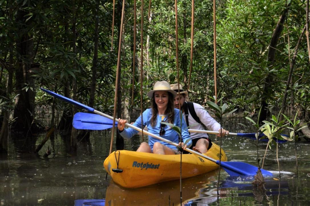 Jardin Botanico Del Pacifico Y Mecana Ecohotel バイーア・ソラノ エクステリア 写真